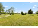 Vast yard presenting endless possibilities for recreation and enjoying the serene surroundings at 4450 N St Rd 39, Danville, IN 46122