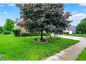 A wide view of a grassy front yard and tree lined street. A home is seen in the background at 4506 Tarragon Dr, Indianapolis, IN 46237