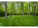 Lush backyard with mature trees and ample green space at 8905 Washington Blvd West Dr, Indianapolis, IN 46240