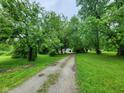A long gravel driveway leads through lush greenery and mature trees to the home at 988 Westfield Rd, Noblesville, IN 46062