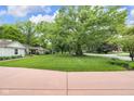 Lush front yard showcasing a sprawling green lawn, and mature trees providing ample shade at 445 W 63Rd St, Indianapolis, IN 46260