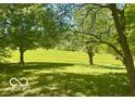 Expansive backyard with lush green grass and mature trees, perfect for outdoor enjoyment at 10501 Greenway Dr, Fishers, IN 46037