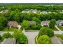 Aerial view of a residential neighborhood with lush greenery and well-maintained homes at 14274 Matt St, Carmel, IN 46033