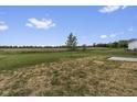 Expansive backyard featuring a young tree on a grassy field with a concrete patio at 11815 Adair Pl, Indianapolis, IN 46229