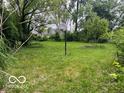 Overgrown backyard featuring a basketball hoop and lots of weeds at 130 Napanee Dr, Carmel, IN 46032