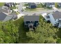 Aerial view of home's backyard landscaping in a neighborhood with tree coverage at 6377 Harvey Dr, Plainfield, IN 46168