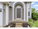 Close-up of an arched doorway, showing a stylish front door with sidelights and exterior lighting at 3014 Saddlehorn Dr, Carmel, IN 46033