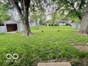 Large backyard with well maintained lawn, mature trees and storage shed at 1834 Chandler Ln, Columbus, IN 47203