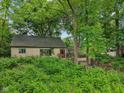 View showcasing the property's exterior features with mature trees and landscaping at 5035 Boulevard Pl, Indianapolis, IN 46208