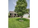 Traditional home featuring a manicured lawn and a two-car garage, complemented by a mature shade tree at 2432 Bridlewood Dr, Franklin, IN 46131