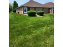 Landscaped backyard with lush green lawn and neatly trimmed shrubs, perfect for outdoor enjoyment at 247 Meridian Ct, Pittsboro, IN 46167