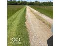 Gravel driveway passing through a lush field, showcasing a peaceful, rural setting at 622 S Washington St, Morristown, IN 46161