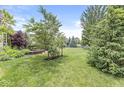 Expansive backyard with lush green grass and mature trees at 4642 Big Run Ct, Indianapolis, IN 46239