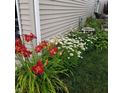 Lush flower bed featuring daisies and lilies lining the side of the beige home at 12671 Endurance Dr, Fishers, IN 46037