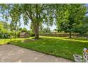 Large backyard with a storage shed and mature trees, creating a peaceful outdoor space at 3225 25Th St, Columbus, IN 47203