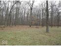 Large private backyard surrounded by mature trees, offering a serene and secluded outdoor space at 8990 N 850 W, Fairland, IN 46126