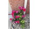 Close-up of lush landscaping with colorful flowers at 5148 Constitution Ct, Columbus, IN 47203