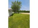 Expansive backyard with lush green lawn and mature trees, offering a serene outdoor space at 520 E County Road 500 S, Muncie, IN 47302