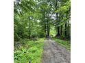 A secluded driveway leads through a lush forest setting at 206 E Hurdle Rd, Morgantown, IN 46160
