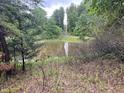 A serene pond is nestled within a tranquil, wooded landscape at 206 E Hurdle Rd, Morgantown, IN 46160