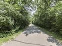 Paved neighborhood walking path lined with lush trees and greenery on either side at 5351 Abbington Ave, Plainfield, IN 46168