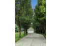 Long driveway lined with mature trees leading to the garage at 19187 Outer Bank Rd, Noblesville, IN 46062