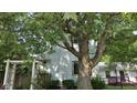 Charming home exterior with a large tree providing shade at 1018 Jefferson Ave, Indianapolis, IN 46201