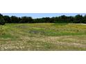 Overgrown field with tall grass and weeds at 0 Whitetail Ridge Lot 3, Mooresville, IN 46158