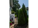 Backyard featuring manicured greenery and a small rock path at 4305 W Coyote Run Ct, Muncie, IN 47304