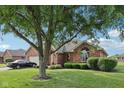 Brick home with a large tree in the front yard providing shade and curb appeal at 1027 Plum St # 39, Brownsburg, IN 46112