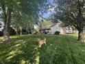Expansive, lush backyard featuring mature trees and a fenced perimeter at 108 Meadowview Dr, Mooresville, IN 46158