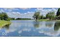 Scenic view of the property's lake, showcasing the tranquil waterfront scenery and lush green shoreline at 317 W State Road 44, Franklin, IN 46131