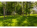 Lush backyard featuring a verdant lawn, mature trees, and ample space for outdoor activities at 289 Sandbrook Dr, Noblesville, IN 46062
