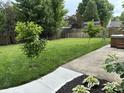 Spacious, fenced backyard features lush green grass and mature trees, perfect for outdoor activities at 8926 Durban Ct, Indianapolis, IN 46234