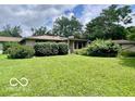 View of a spacious green backyard featuring mature trees and foliage, perfect for outdoor activities at 1802 Laurel Dr, Columbus, IN 47203