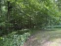 Tranquil backyard setting with dense trees and a walking path through lush greenery at 3042 S Conservation Club Rd, Morgantown, IN 46160