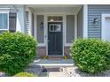Inviting front door with sidelights framed by lush greenery and charming yellow flower pots at 1312 Donald Pass, Greenwood, IN 46143