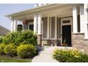 Inviting front porch with stone accents, decorative plants, and a welcoming entrance at 13820 Woodside Hollow Dr, Carmel, IN 46032