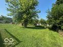 Spacious backyard with lush green grass and mature trees, offering plenty of room for outdoor activities at 2930 N Rural St, Indianapolis, IN 46218