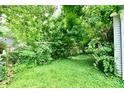An overgrown backyard offers a serene escape with mature trees, vines, and blooming plants at 313 N 16Th Ave, Beech Grove, IN 46107