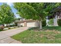A view of a well-manicured lawn, attached garage, and delightful red roses at 1138 Topp Creek Dr, Indianapolis, IN 46214