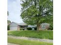 Charming one-story home featuring a well-maintained front yard and a mature tree at 907 Corey Ln, Plainfield, IN 46168