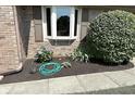 Landscaped flower beds with a garden hose, showing attention to detail and care at 920 Corey Ln, Plainfield, IN 46168