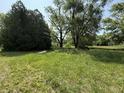 Lush backyard featuring an unfinished lawn at 4633 S County Road 500 E, Plainfield, IN 46168