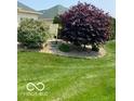 Manicured front yard with a red tree, landscaped bushes, and a well-kept lawn at 3354 Nottinghill Dr, Plainfield, IN 46168