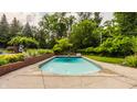 Backyard swimming pool with surrounding concrete patio and partial brick fence enclosed by mature trees at 6295 N Olney St, Indianapolis, IN 46220