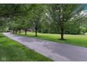 Tree-lined driveway leading to a beautiful home, showcasing the property's secluded setting at 8301 Cooper Ln, Zionsville, IN 46077