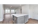 Spacious open-concept kitchen featuring a kitchen island and hardwood floors, with views of the living area at 14521 Hanford Ln, Carmel, IN 46074