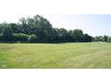 A large grassy field surrounded by lush green trees, offering open space and natural scenery in a neighborhood at 13829 Black Canyon Ct, Fishers, IN 46038