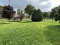 Beautiful backyard with lush green grass, mature trees, and a black fence surrounding the property at 3610 Homestead Pl, Plainfield, IN 46168